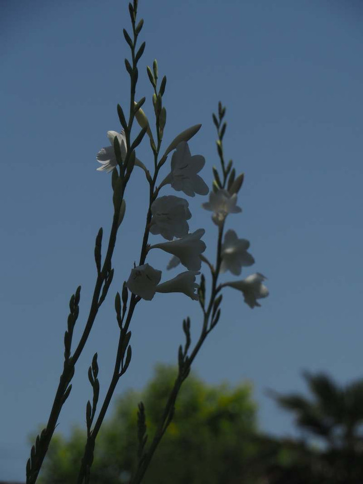 P4300887