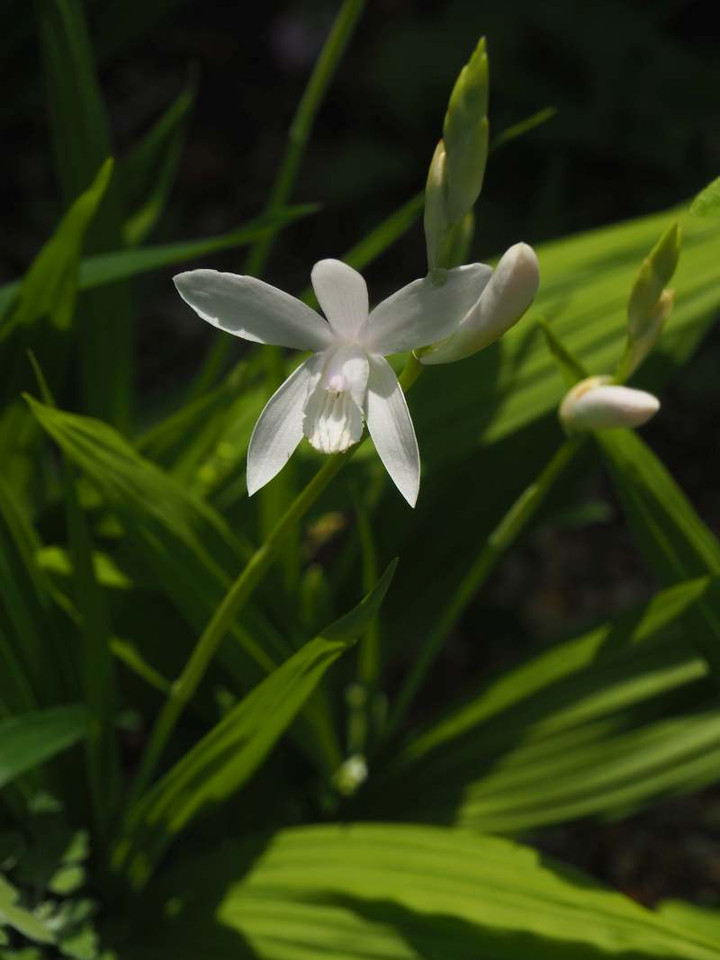 P5010919