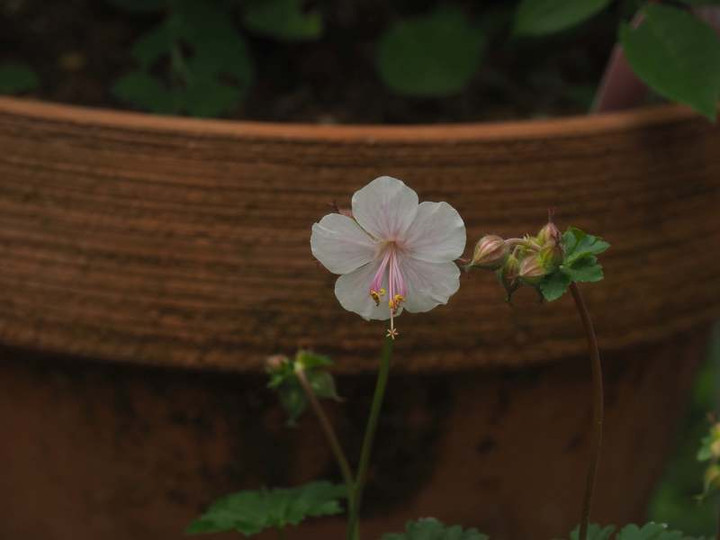 P5010973