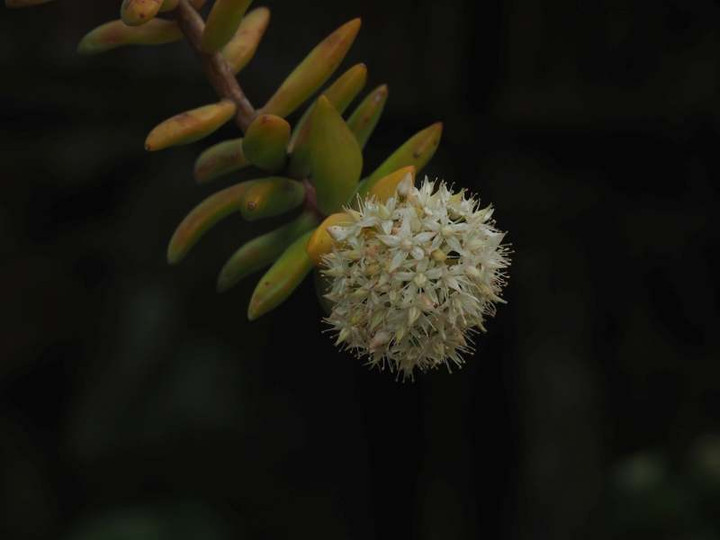 P5020975