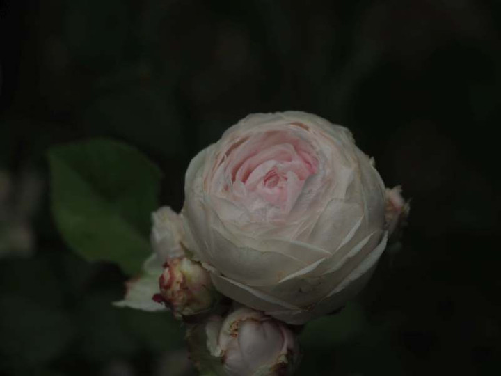 P5020990