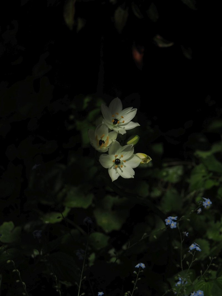 P5041540