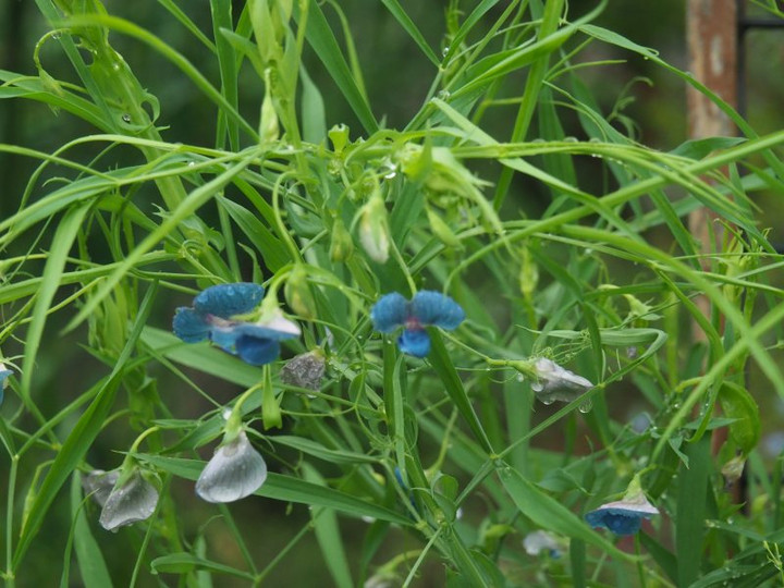 P5051573