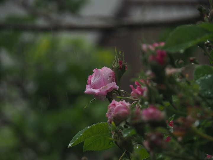 P5051577