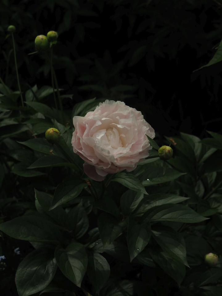 P5081722