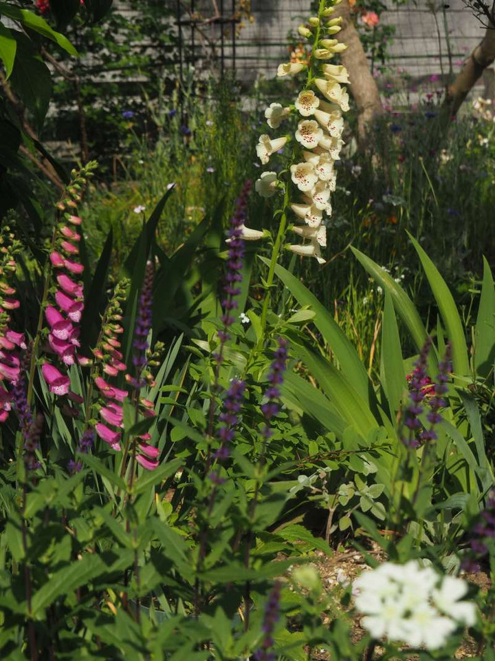 P5102137