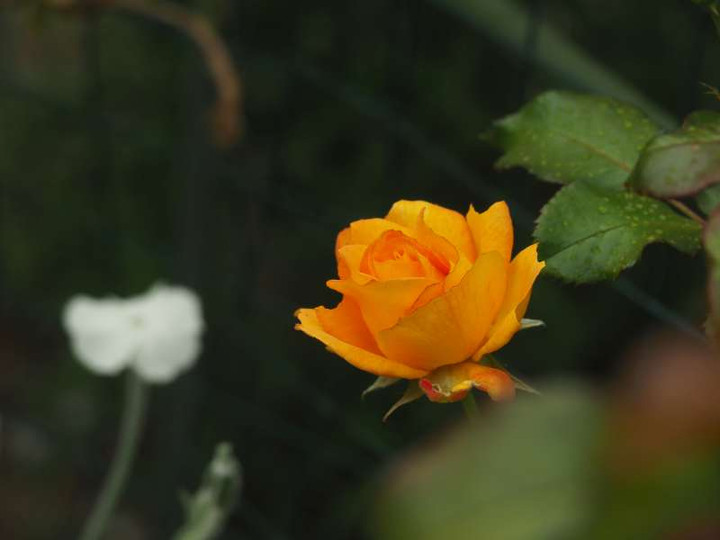 P5122255