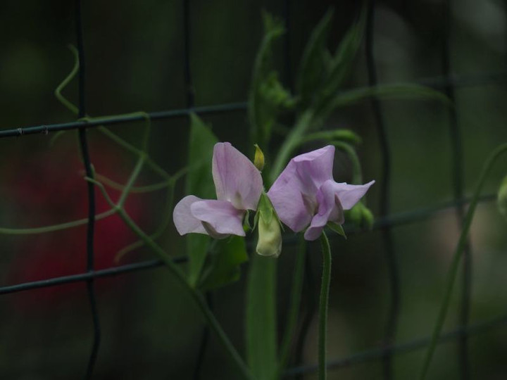 P5173029