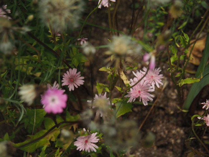 P5263301