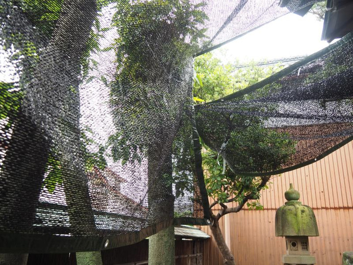 P5283344