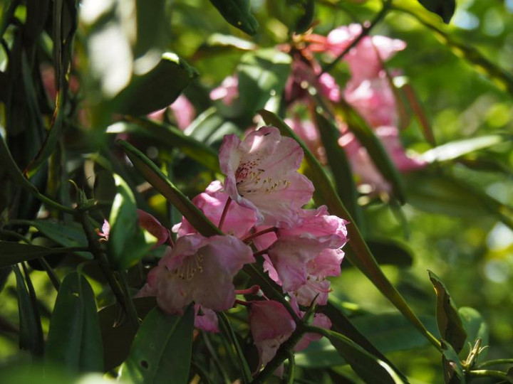 P5303569