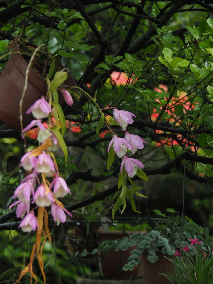 P6043806
