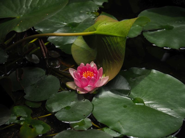 P6053850