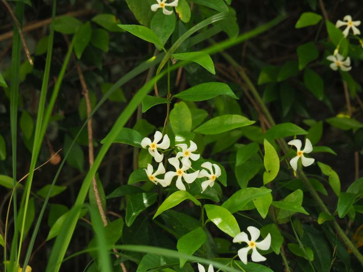 P6084296