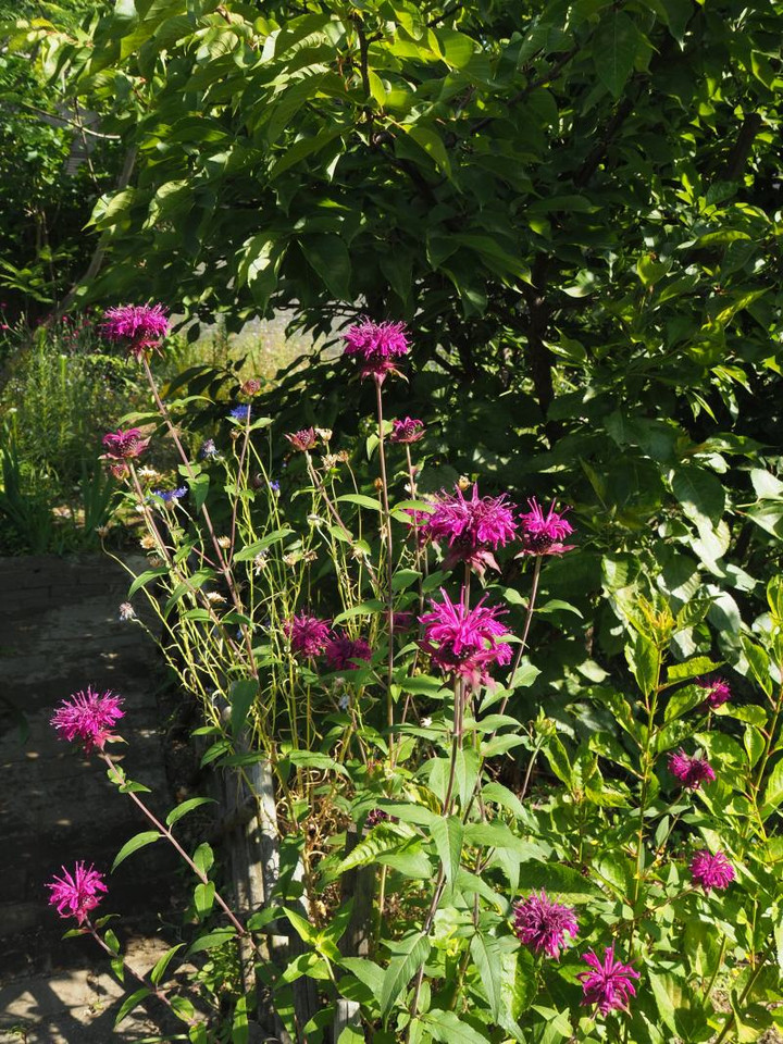 P6104342