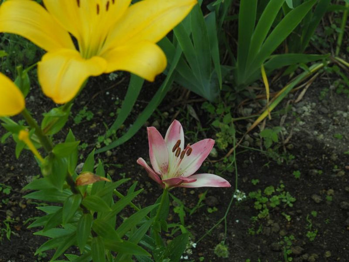 P6104344