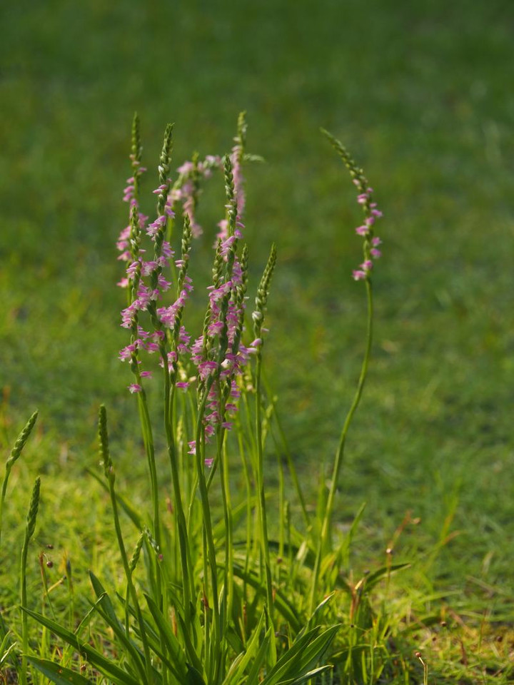 P6104369