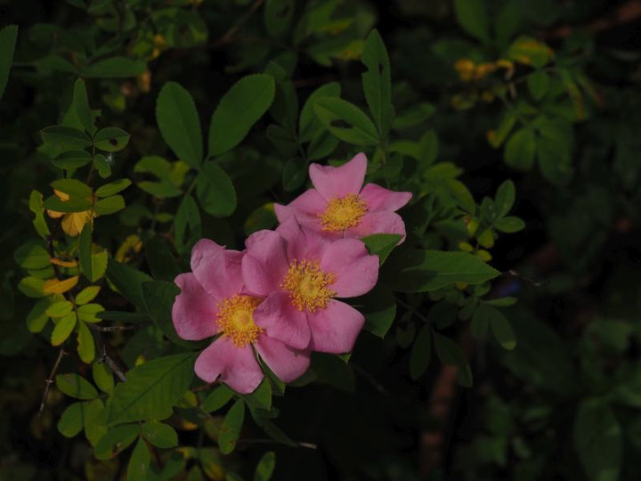 P6114395