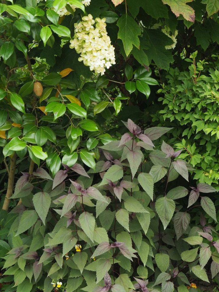 P6124428tp