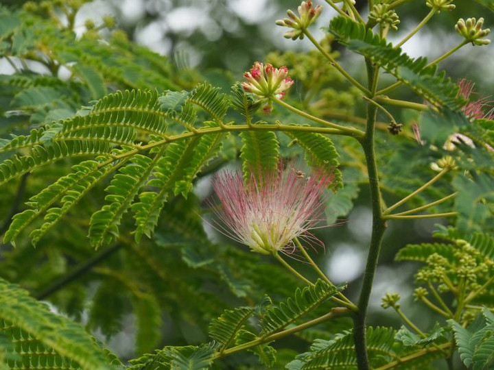 P6134478