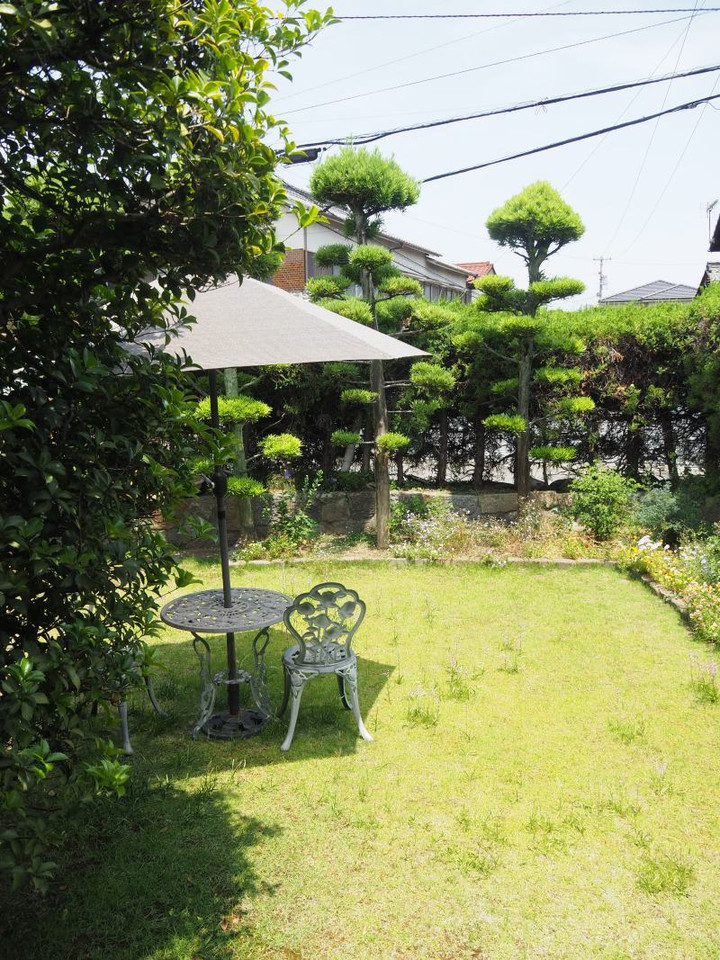 P6144461t