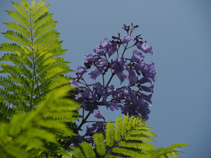 P6144468