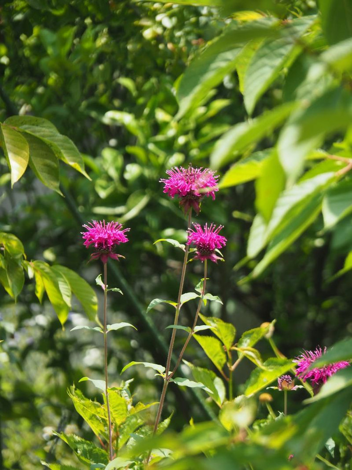 P6144473