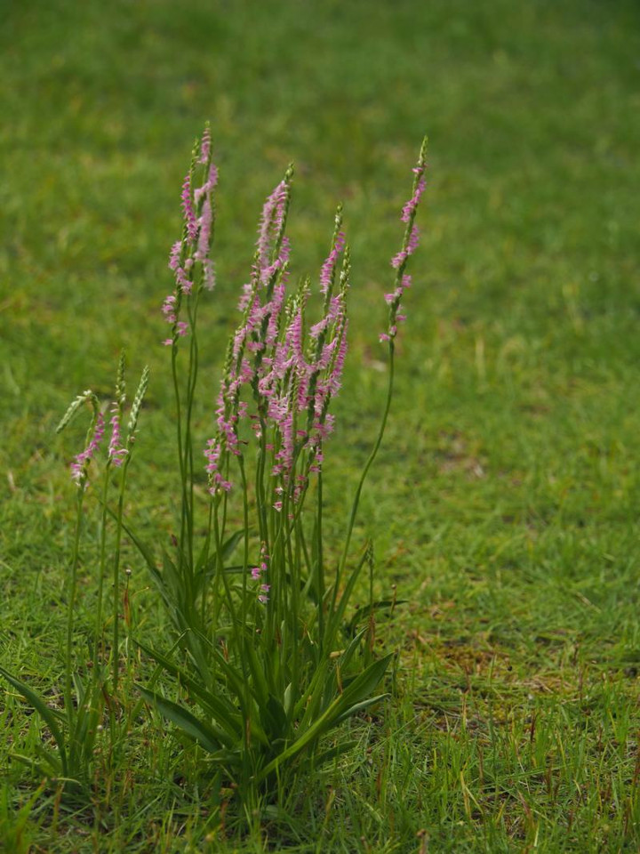 P6144488