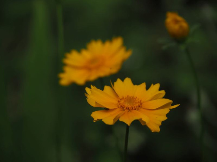 P6174554
