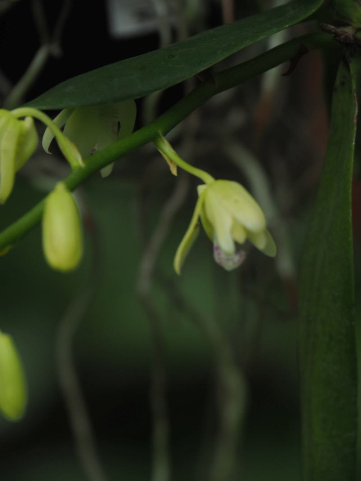 P6184566