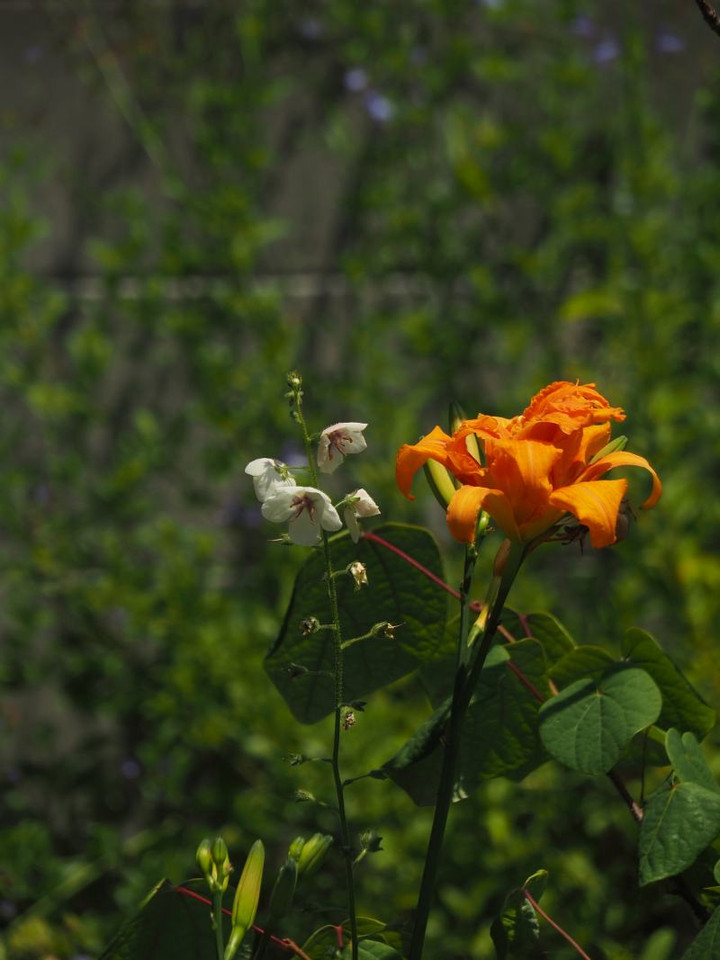 P6234983