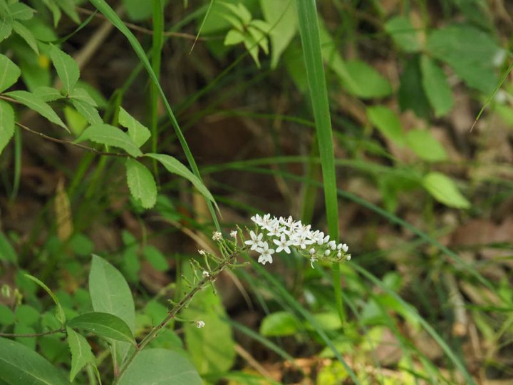 P6235040