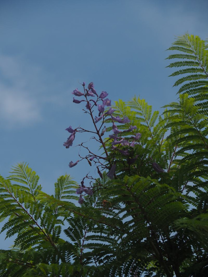 P6305144