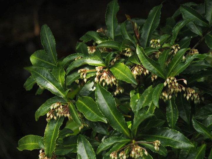 P6305157