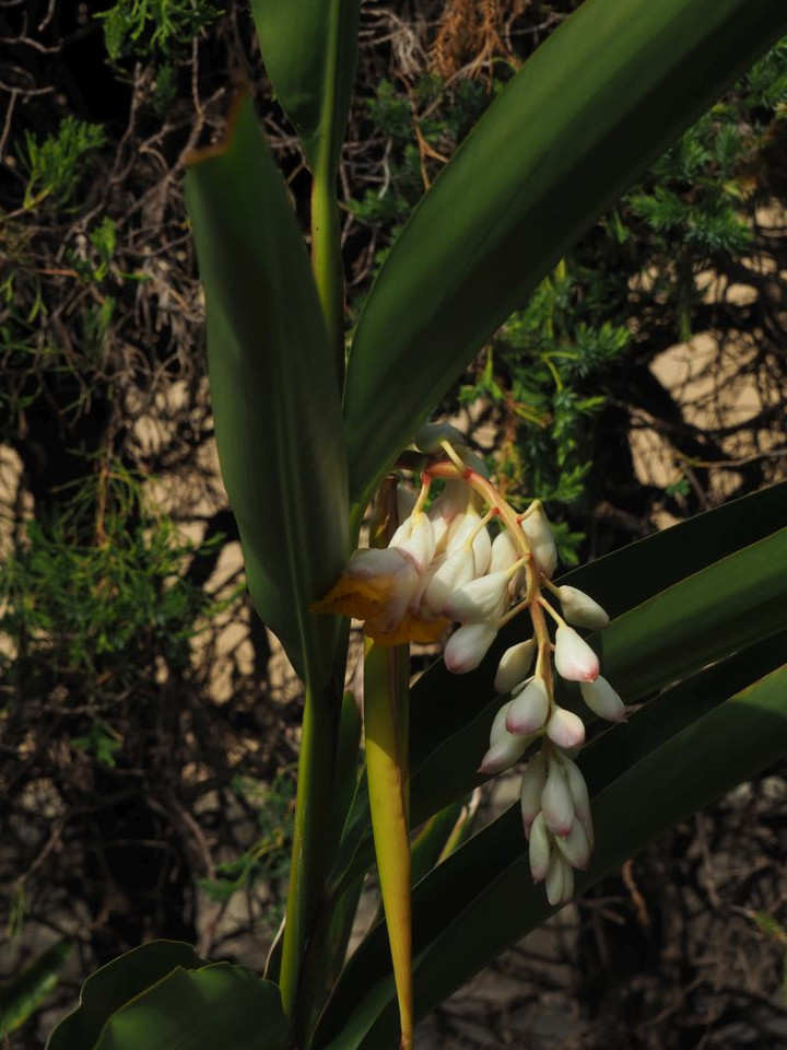 P7025215