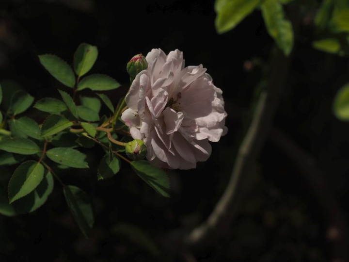 P7055256
