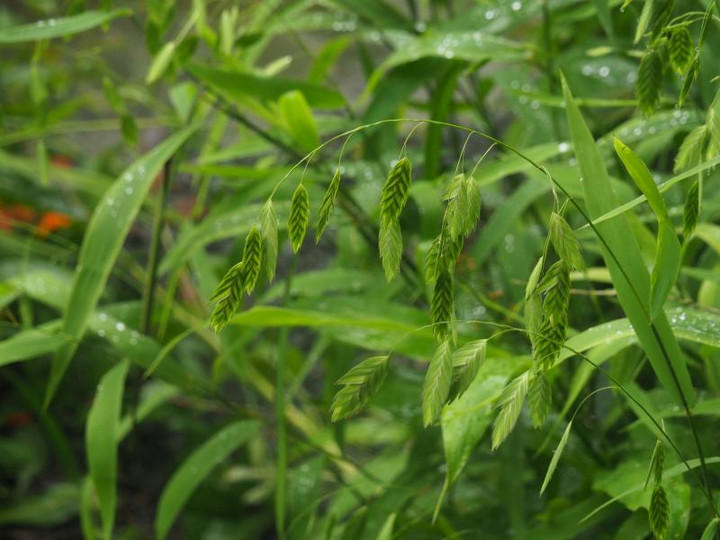 P7105342