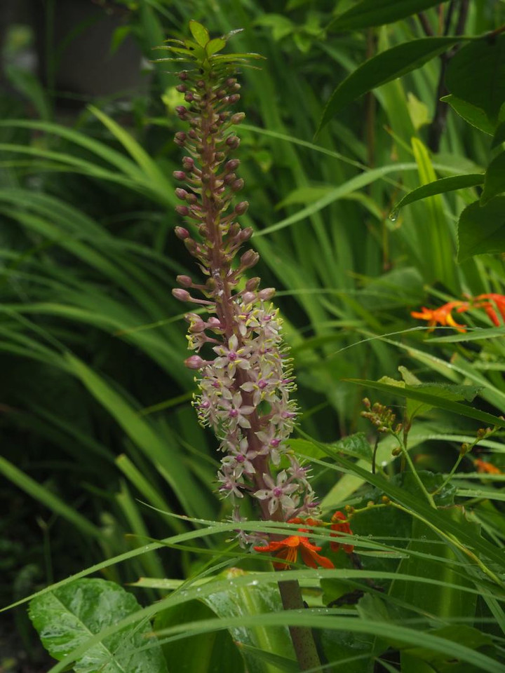 P7105344