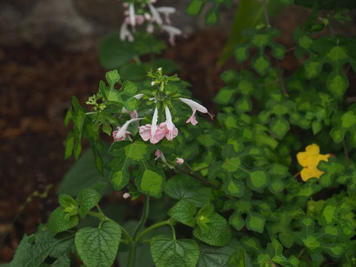 P7125397