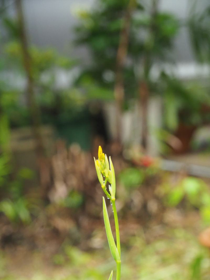 P7160008