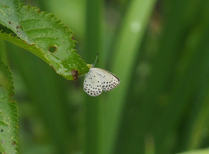 P7160013