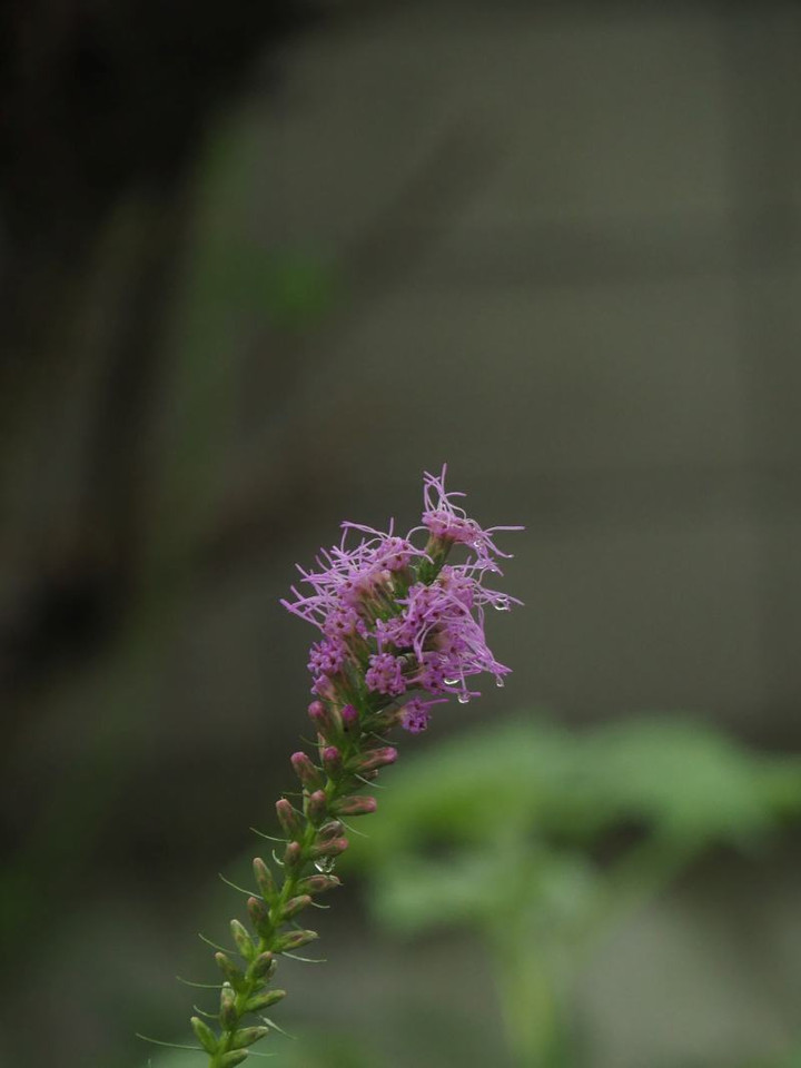P7160014