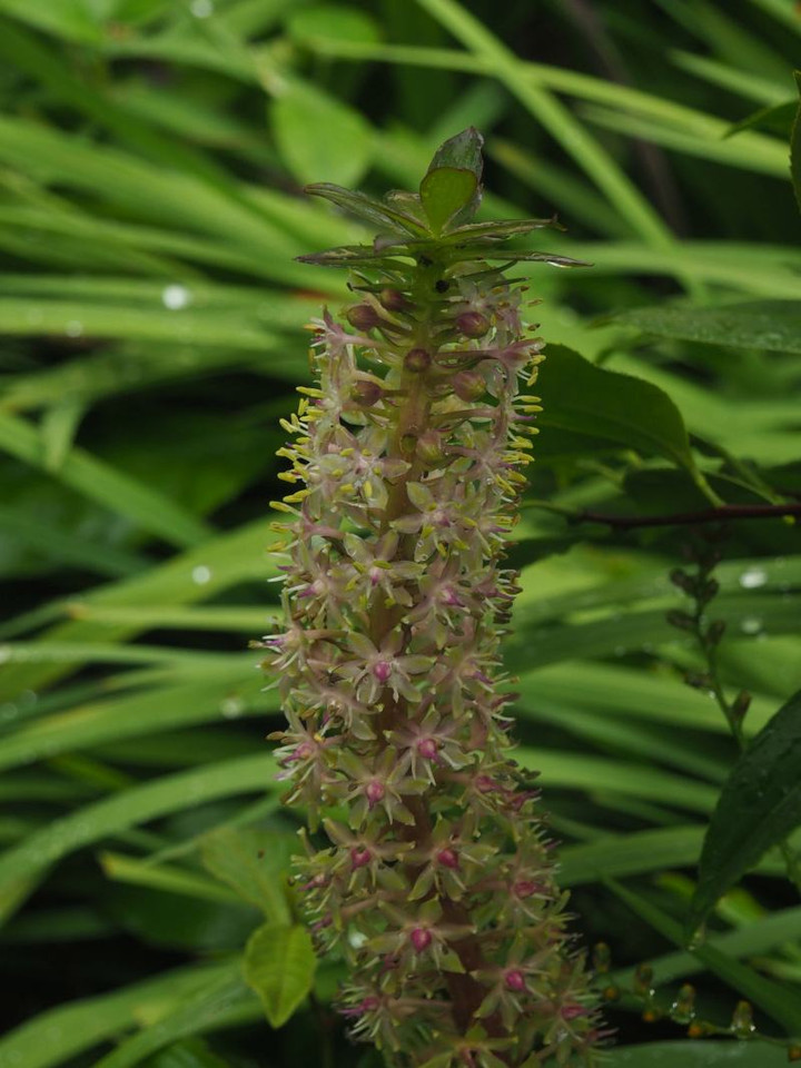 P7160020