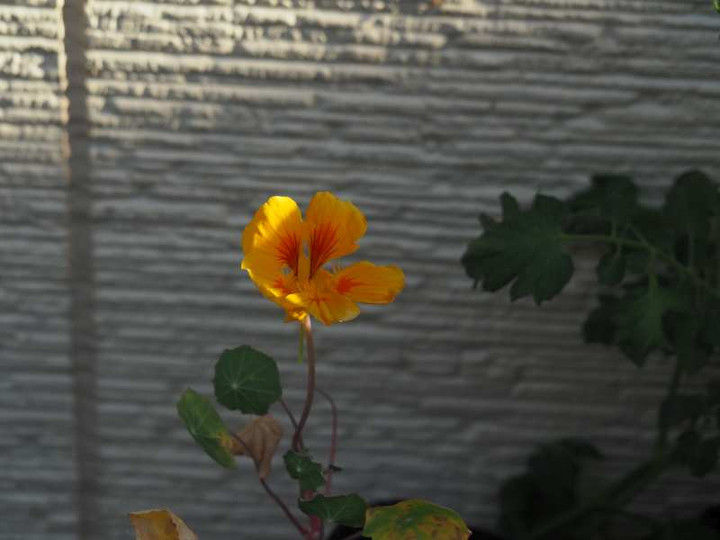P7221088