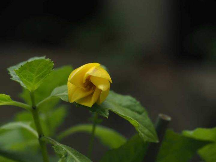 P7221111