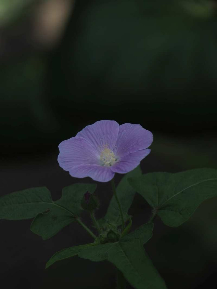 P7231119