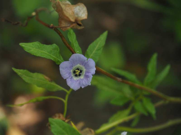 P7231123