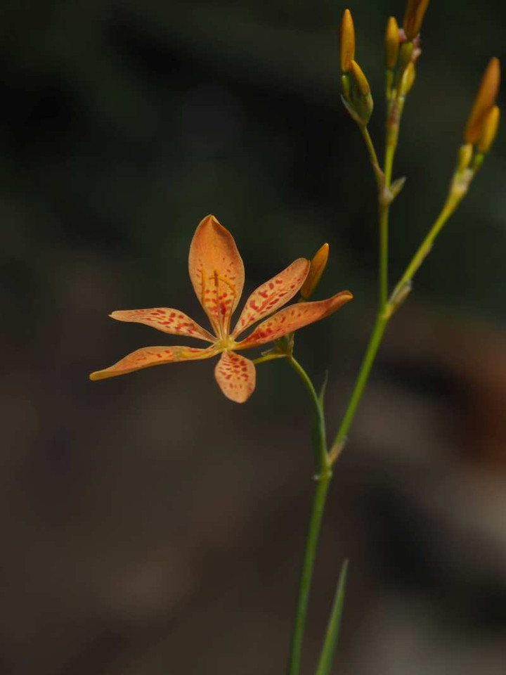 P7231128
