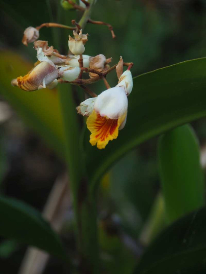 P7241153