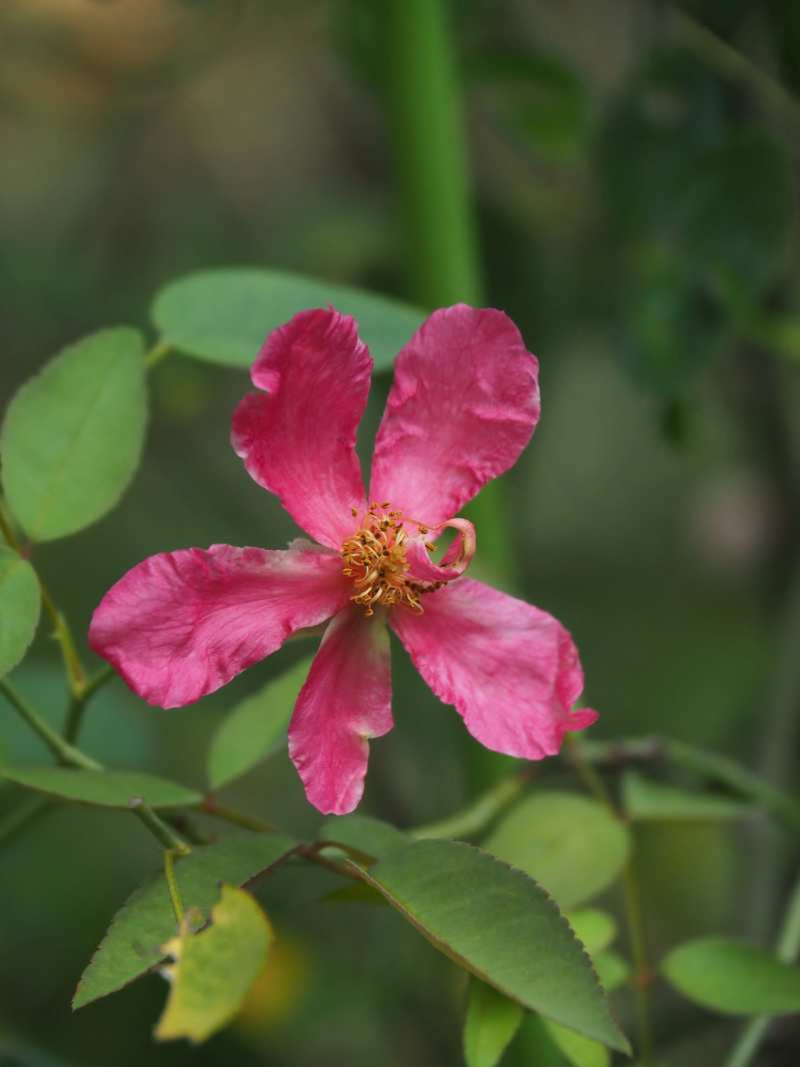 P7281543